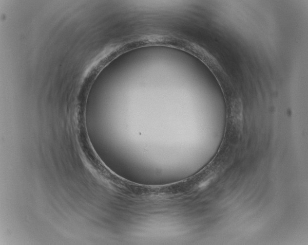 X0000071330730200607141905