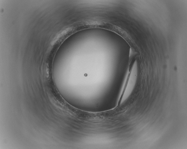 X0000071330731200607141905