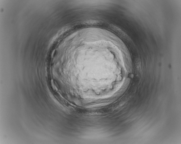 X0000071330734200607141905