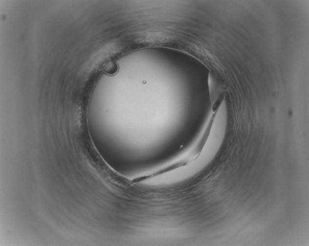 X0000071330735200607141905