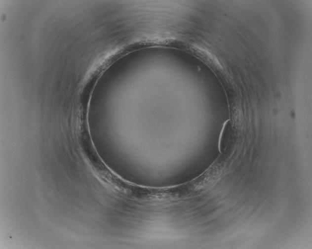 X0000071330736200607141905