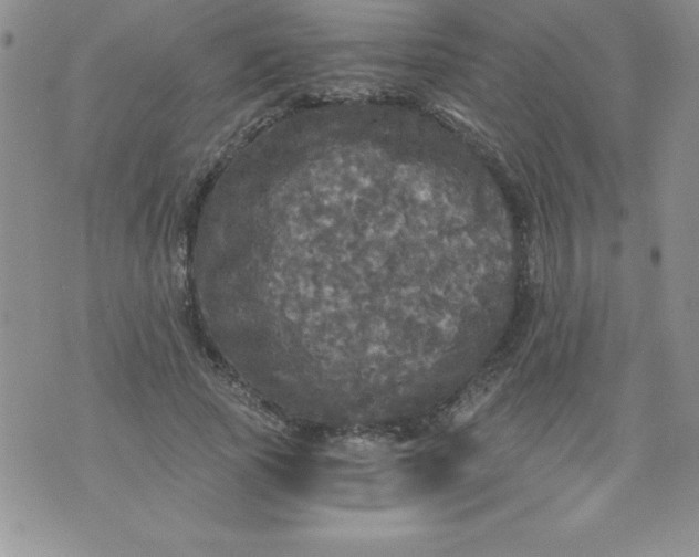 X0000071330737200607141905