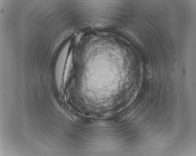 X0000071330738200607141905