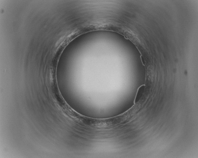 X0000071330740200607141905