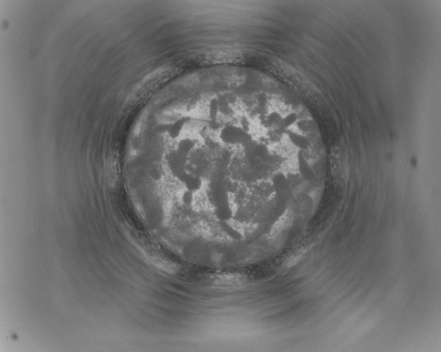 X0000071330741200607141905