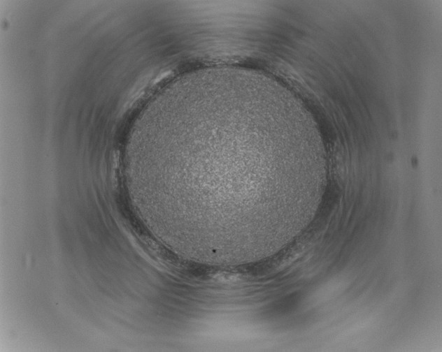 X0000071330742200607141905