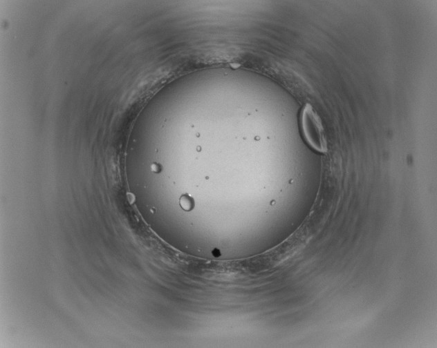 X0000071330743200607141905