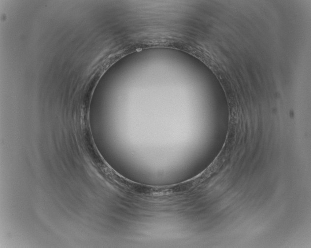 X0000071330744200607141905