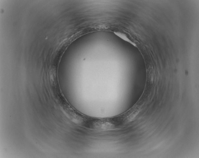 X0000071330747200607141905