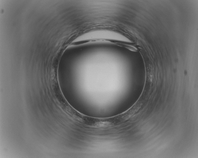 X0000071330748200607141905