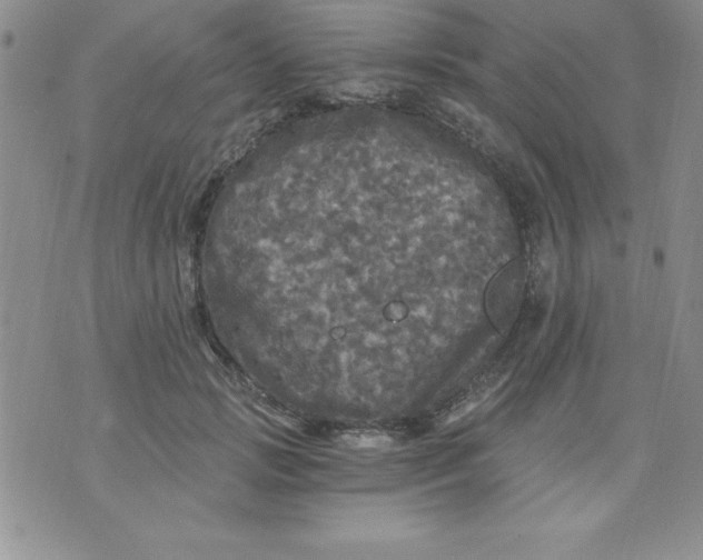 X0000071330749200607141905