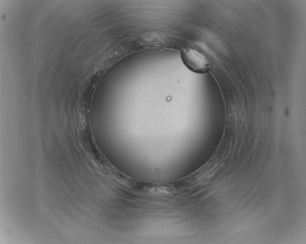 X0000071330751200607141905