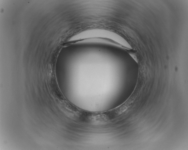 X0000071330752200607141905