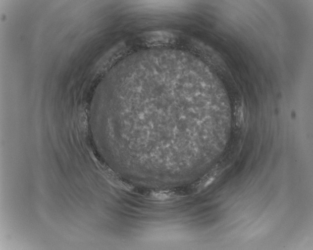 X0000071330753200607141905