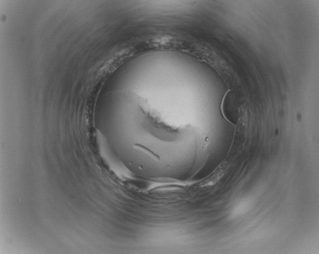 X0000071330754200607141905