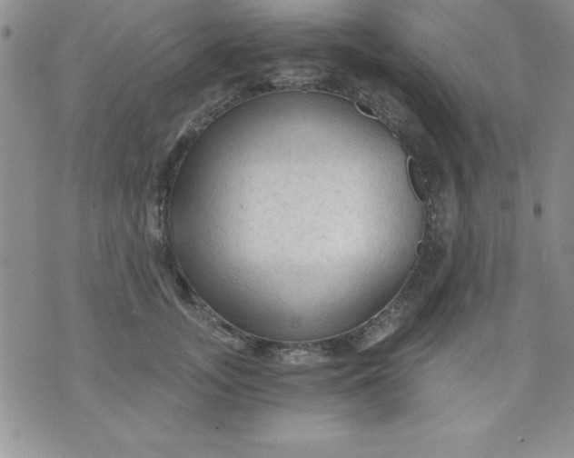 X0000071330755200607141905