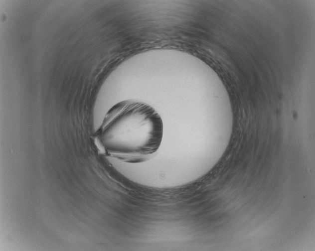 X0000071330756200607141905