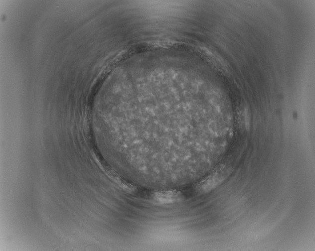 X0000071330757200607141905