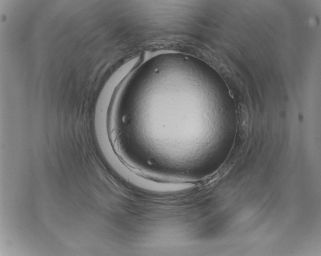 X0000071330758200607141905