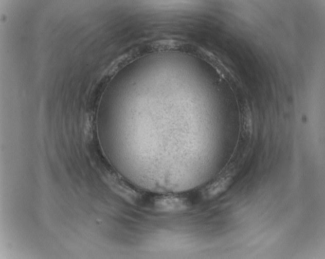 X0000071330759200607141905