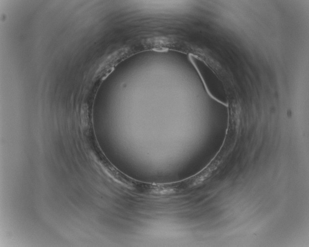 X0000071330760200607141905