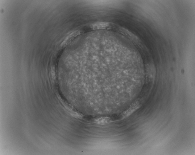 X0000071330761200607141905