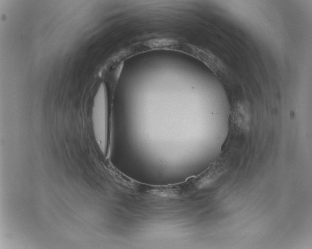 X0000071330763200607141905