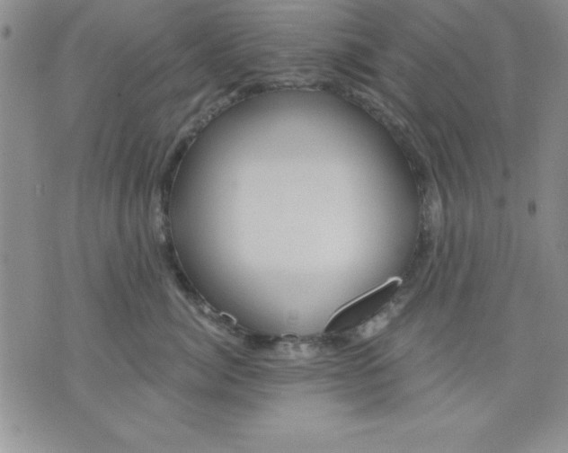 X0000071330764200607141905