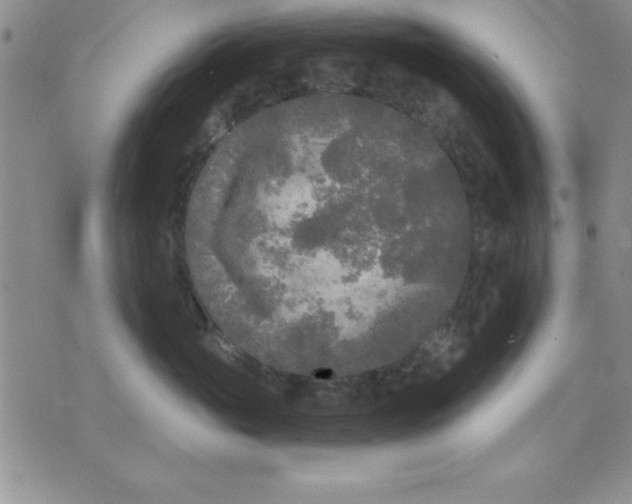 X0000071330765200607141905