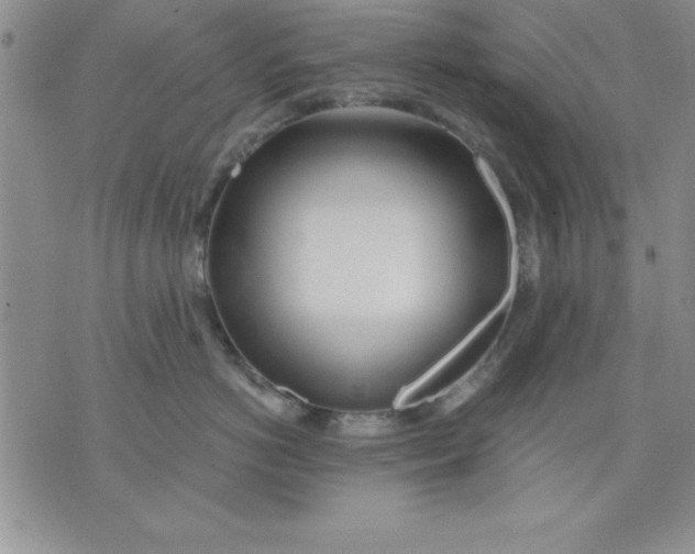 X0000071330766200607141905