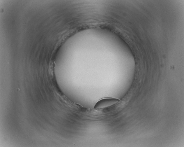 X0000071330768200607141905