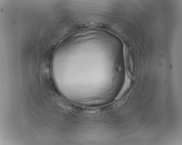 X0000071330771200607141905