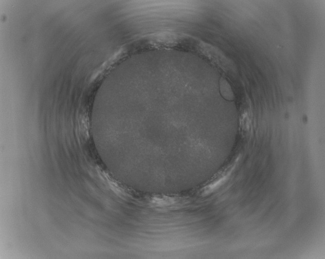 X0000071330772200607141904