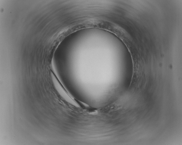 X0000071330773200607141904