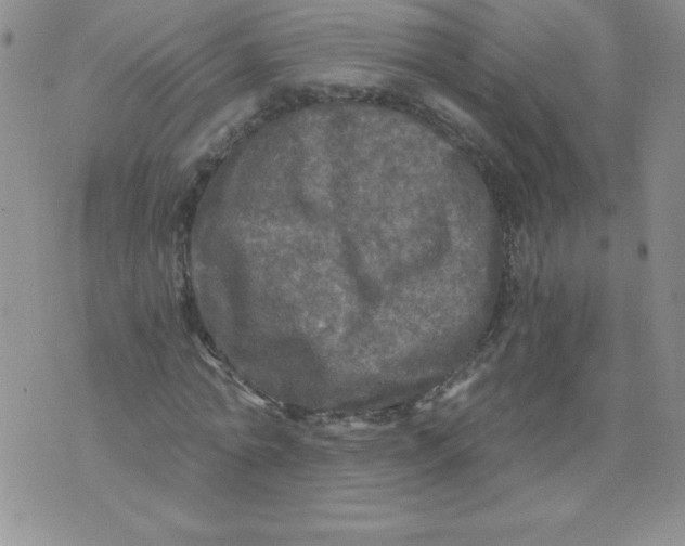 X0000071330774200607141904