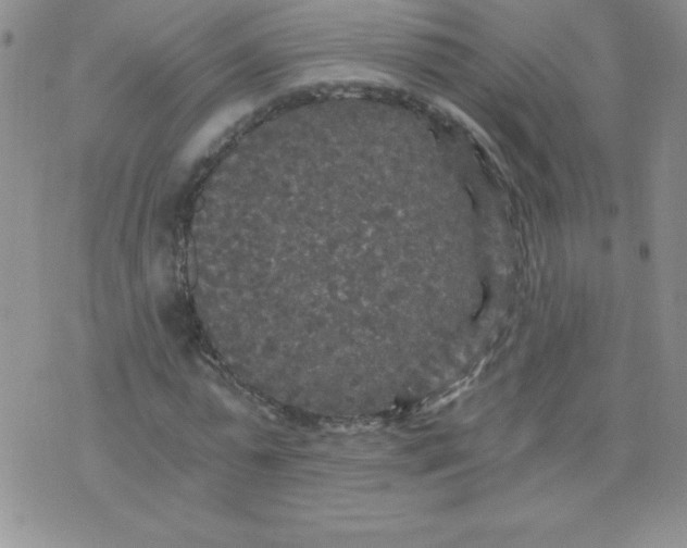 X0000071330775200607141904