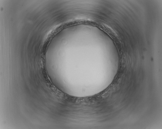 X0000071330776200607141904