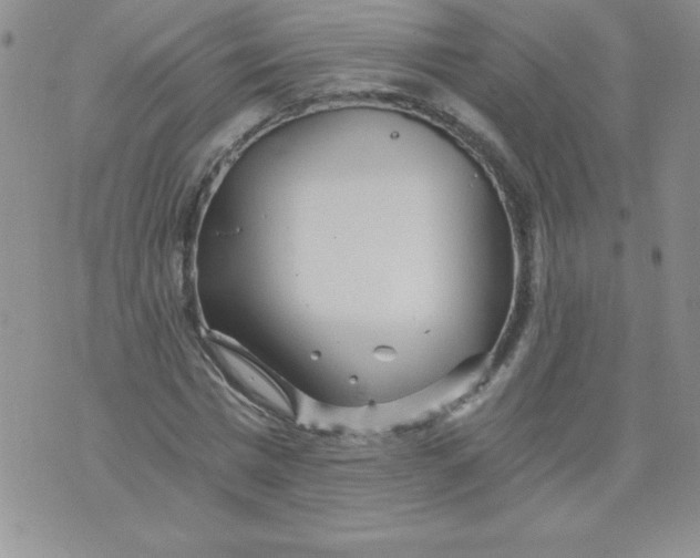 X0000071330777200607141904