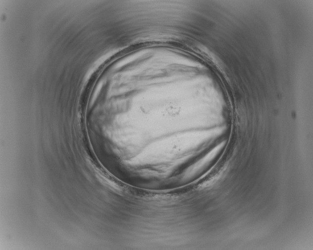 X0000071330779200607141904