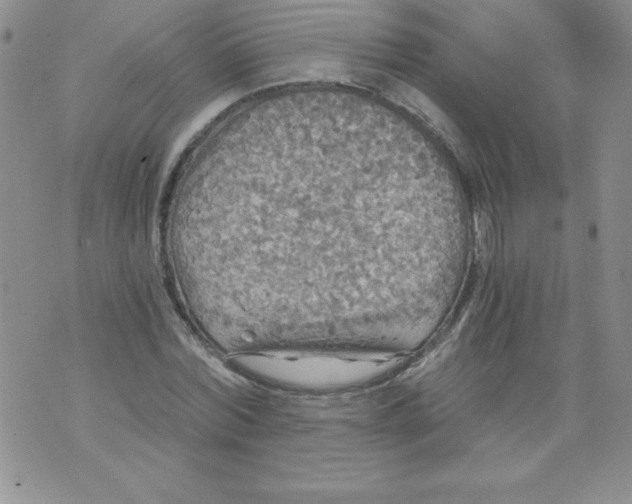 X0000071330780200607141904