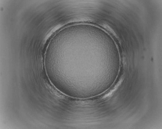 X0000071330781200607141904