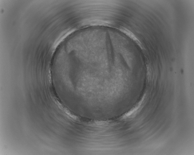 X0000071330782200607141904