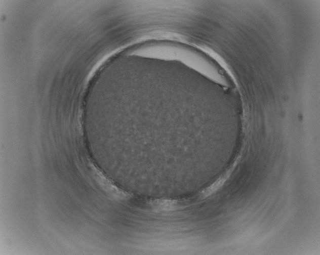 X0000071330783200607141904