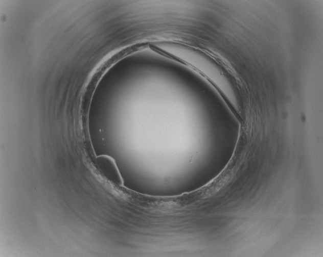 X0000071330784200607141904