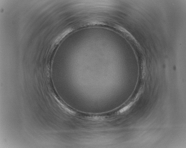 X0000071330785200607141904