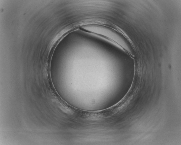 X0000071330786200607141904