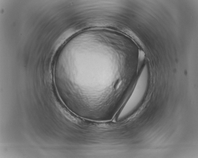 X0000071330787200607141904