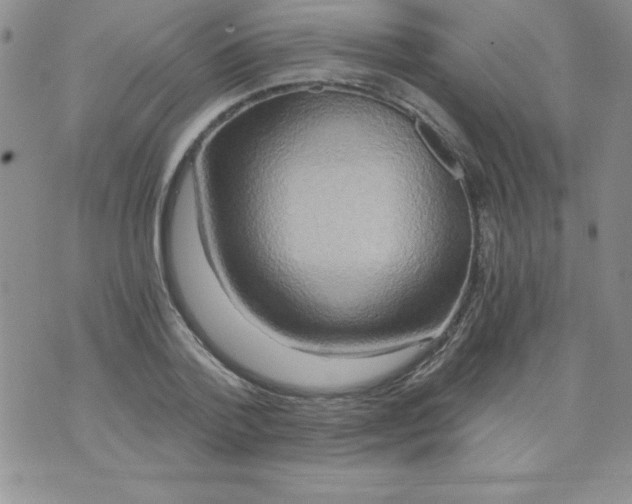 X0000071330788200607141904