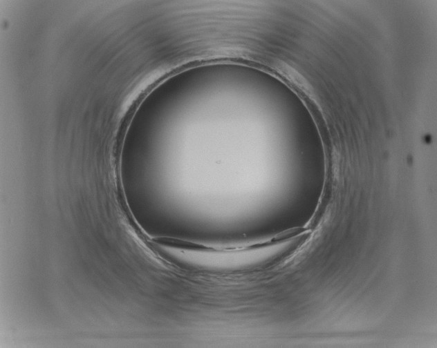 X0000071330789200607141904