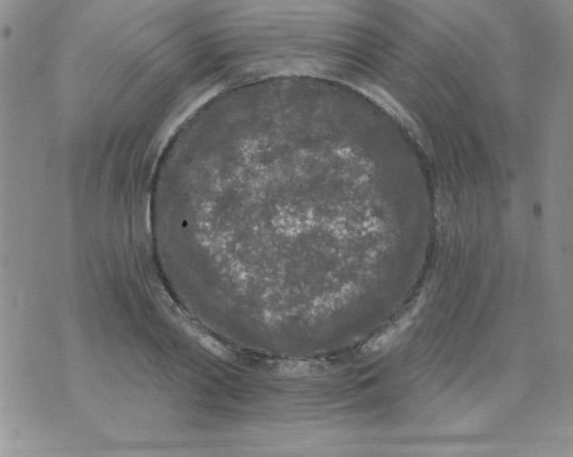 X0000071330790200607141904